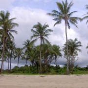 10b_Chaungta Beach (25)